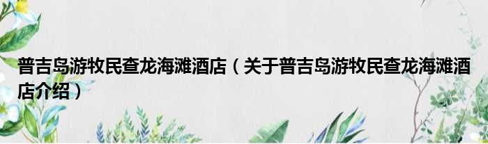 普吉岛游牧民查龙海滩酒店 关于普吉岛游牧民查龙海滩酒店介绍