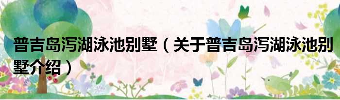 普吉岛泻湖泳池别墅 关于普吉岛泻湖泳池别墅介绍