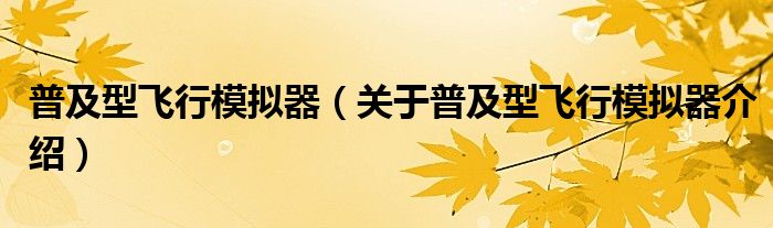 普及型飞行模拟器 关于普及型飞行模拟器介绍