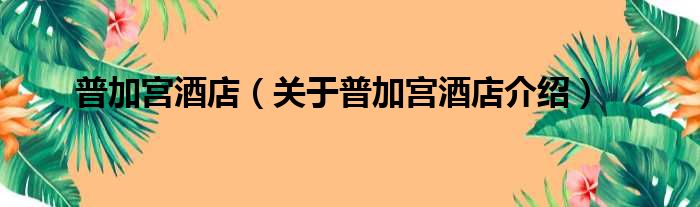 普加宫酒店 关于普加宫酒店介绍