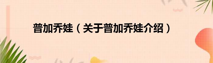 普加乔娃 关于普加乔娃介绍