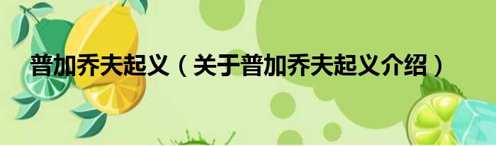 普加乔夫起义 关于普加乔夫起义介绍