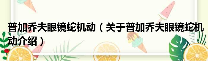 普加乔夫眼镜蛇机动 关于普加乔夫眼镜蛇机动介绍