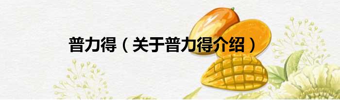 普力得 关于普力得介绍