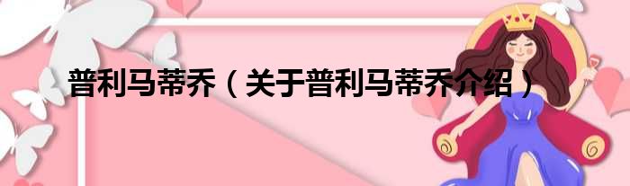 普利马蒂乔 关于普利马蒂乔介绍