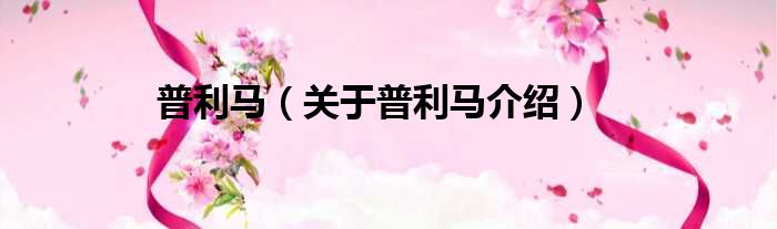 普利马 关于普利马介绍