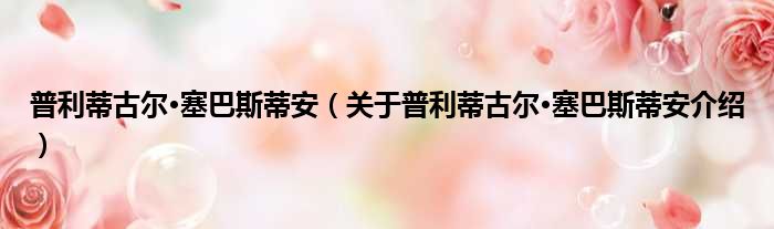 普利蒂古尔·塞巴斯蒂安 关于普利蒂古尔·塞巴斯蒂安介绍