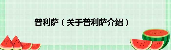 普利萨 关于普利萨介绍