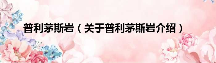 普利茅斯岩 关于普利茅斯岩介绍