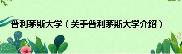 普利茅斯大学 关于普利茅斯大学介绍