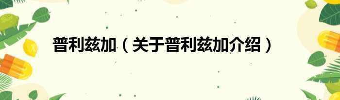 普利兹加 关于普利兹加介绍