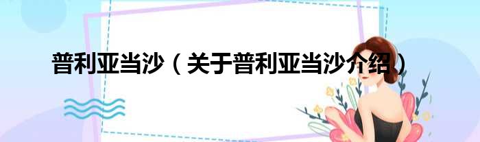 普利亚当沙 关于普利亚当沙介绍