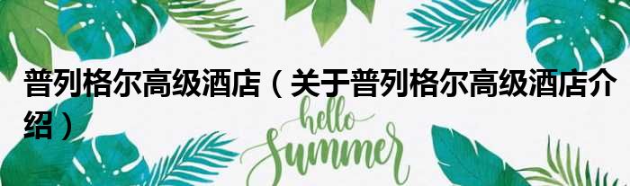 普列格尔高级酒店 关于普列格尔高级酒店介绍