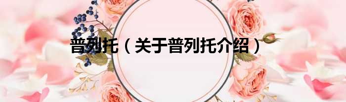 普列托 关于普列托介绍