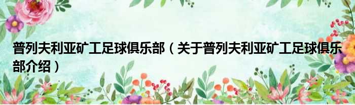 普列夫利亚矿工足球俱乐部 关于普列夫利亚矿工足球俱乐部介绍