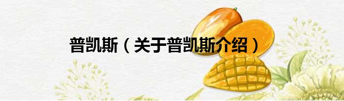 普凯斯 关于普凯斯介绍