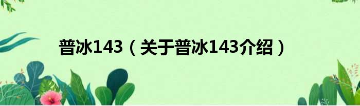 普冰143 关于普冰143介绍