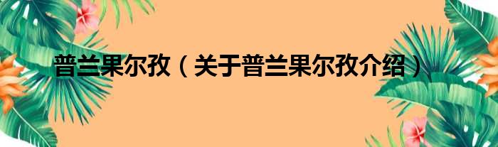 普兰果尔孜 关于普兰果尔孜介绍