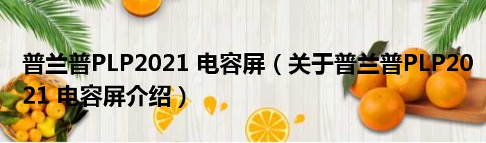 普兰普PLP2021 电容屏 关于普兰普PLP2021 电容屏介绍