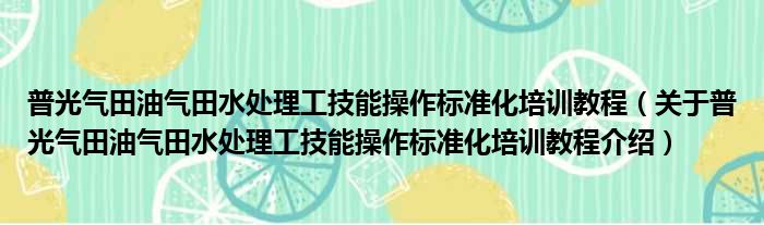 普光气田油气田水处理工技能操作标准化培训教程 关于普光气田油气田水处理工技能操作标准化培训教程介绍