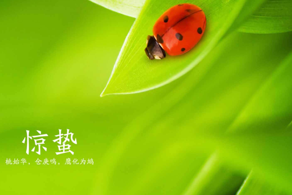 惊蛰节气是什么意思