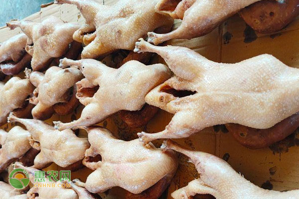 北方小年吃什么食物