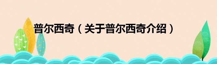 普尔西奇 关于普尔西奇介绍