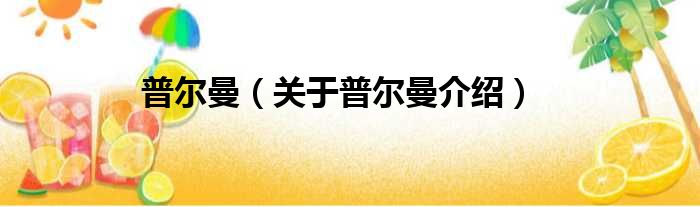 普尔曼 关于普尔曼介绍