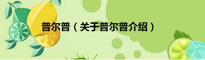 普尔普 关于普尔普介绍