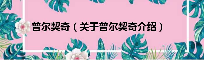 普尔契奇 关于普尔契奇介绍