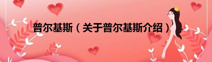 普尔基斯 关于普尔基斯介绍