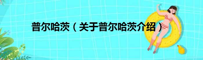 普尔哈茨 关于普尔哈茨介绍