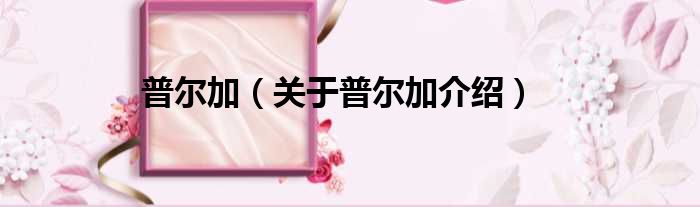 普尔加 关于普尔加介绍