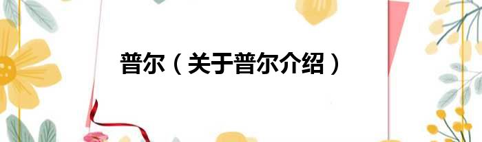 普尔 关于普尔介绍