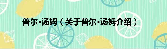 普尔·汤姆 关于普尔·汤姆介绍