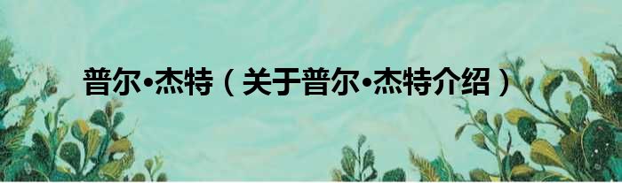 普尔·杰特 关于普尔·杰特介绍