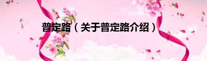 普定路 关于普定路介绍