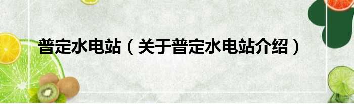 普定水电站 关于普定水电站介绍