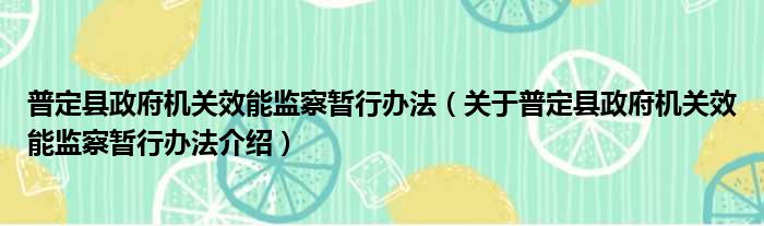 普定县政府机关效能监察暂行办法 关于普定县政府机关效能监察暂行办法介绍