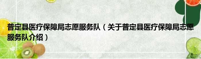 普定县医疗保障局志愿服务队 关于普定县医疗保障局志愿服务队介绍