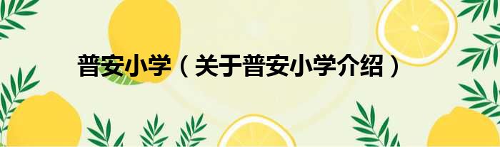 普安小学 关于普安小学介绍