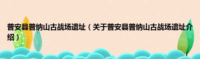普安县普纳山古战场遗址 关于普安县普纳山古战场遗址介绍