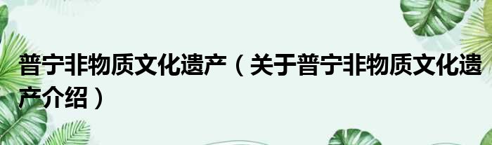 普宁非物质文化遗产 关于普宁非物质文化遗产介绍