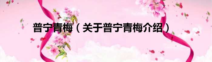 普宁青梅 关于普宁青梅介绍