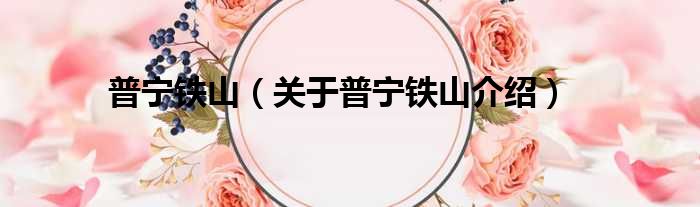 普宁铁山 关于普宁铁山介绍