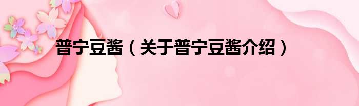 普宁豆酱 关于普宁豆酱介绍