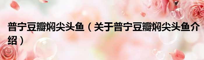 普宁豆瓣焖尖头鱼 关于普宁豆瓣焖尖头鱼介绍