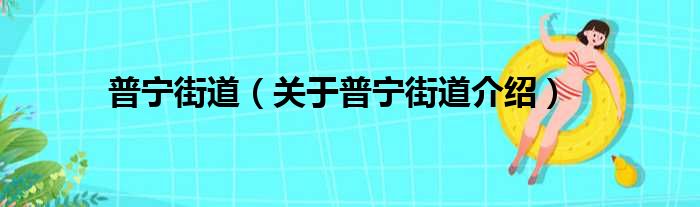 普宁街道 关于普宁街道介绍