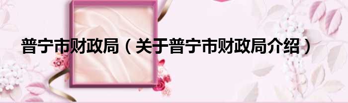 普宁市财政局 关于普宁市财政局介绍