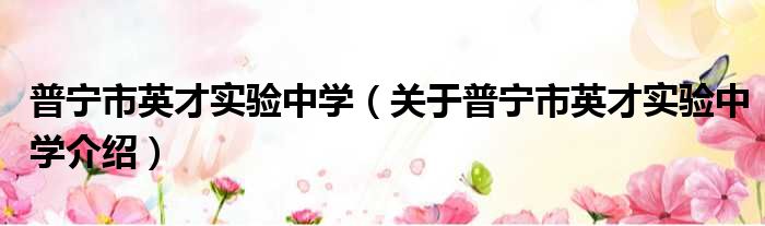 普宁市英才实验中学 关于普宁市英才实验中学介绍
